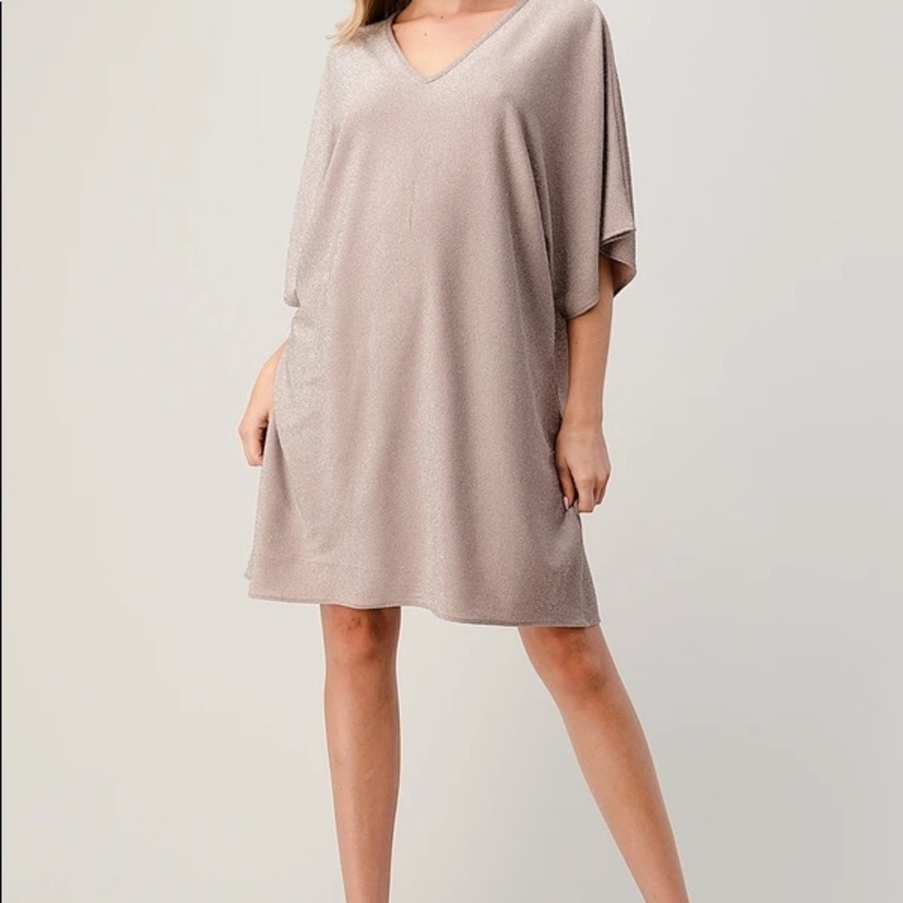Perfect Holiday Party Dress! Shimmer and Shine! - Picture 4 of 8
